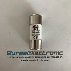 RO17 100A 22X58 GECİKMELİ SİGORTA