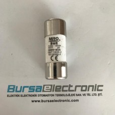 RO17 63A 22X58 GECİKMELİ SİGORTA