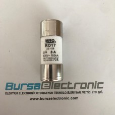 RO17 8A 22X58 GECİKMELİ SİGORTA