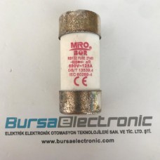 RS12Z 125A 27X60 HIZLI SİGORTA