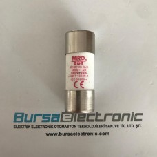 RS17Z 20A 22X58 HIZLI SİGORTA