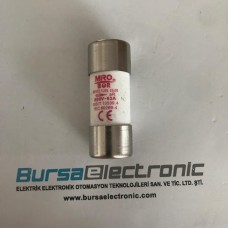 RS17Z 63A 22X58 HIZLI SİGORTA